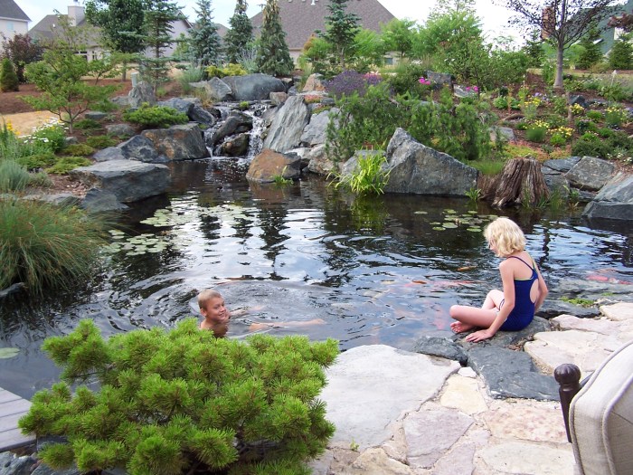 Pond small fish ideas garden ponds front yard backyard landscaping designs koi visit article rocks