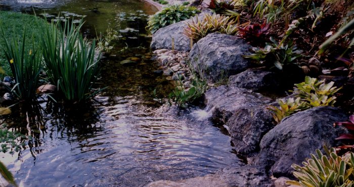 Rocks landscaping boulders artificial rock landscape choose board kit front plants