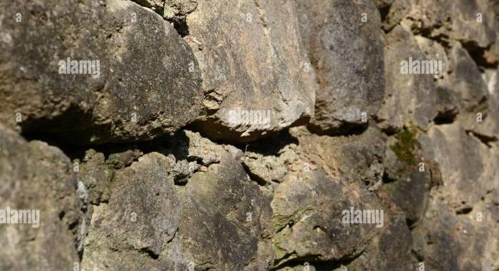 Batu Alam Pagar Rumah Panduan Lengkap